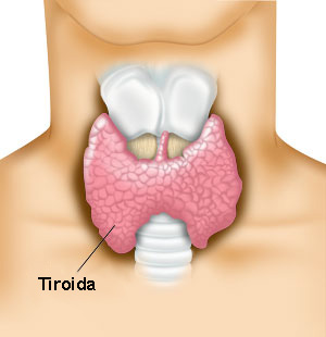 Glanda tiroida